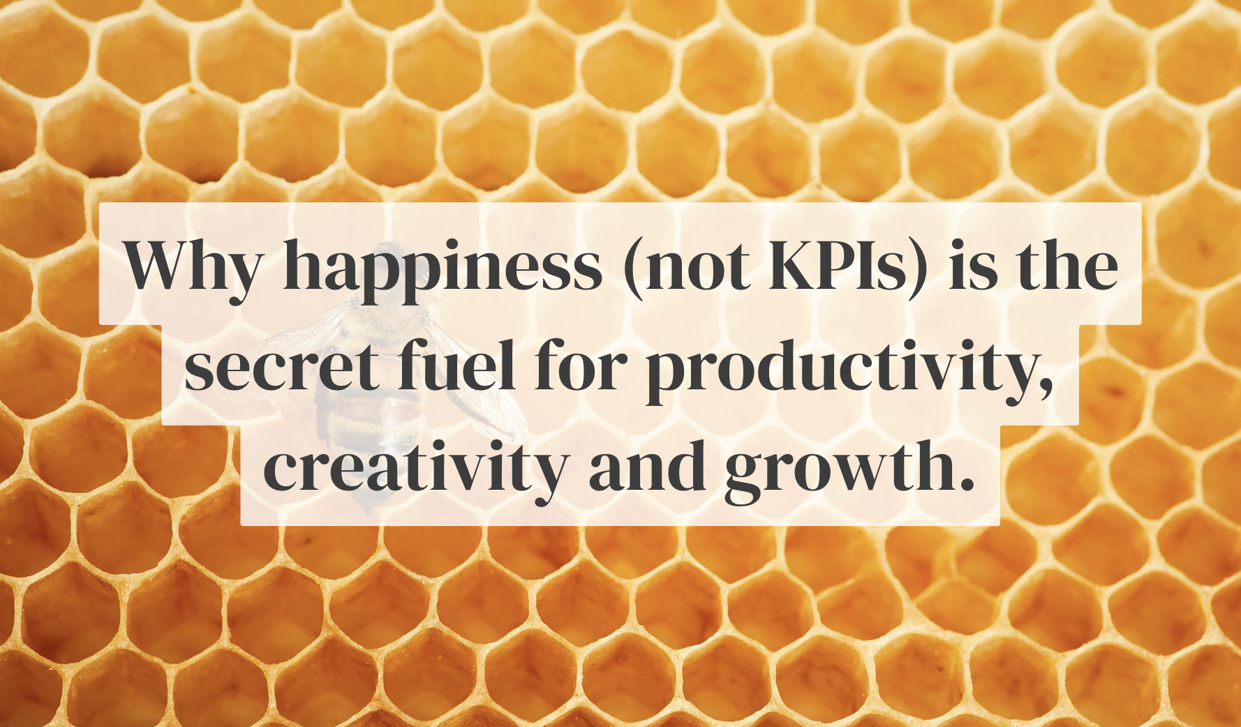 Why happiness (not KPIs) is the secret fuel for productivity, creativity and growth